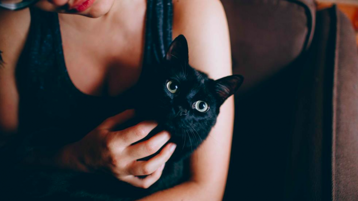 ¿A qué se debe la misteriosa afinidad entre las mujeres y los gatos?