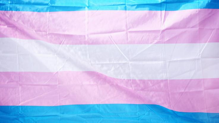 Fin a la discriminación y transfobia