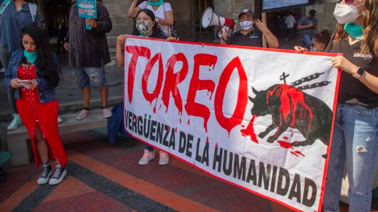"Una mujer sangra más que un toro": El argumento de un empresario mexicano al defender las corridas de toros